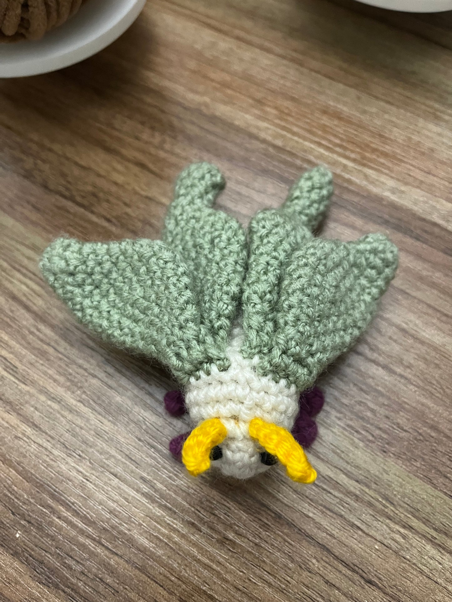 Luna Moth