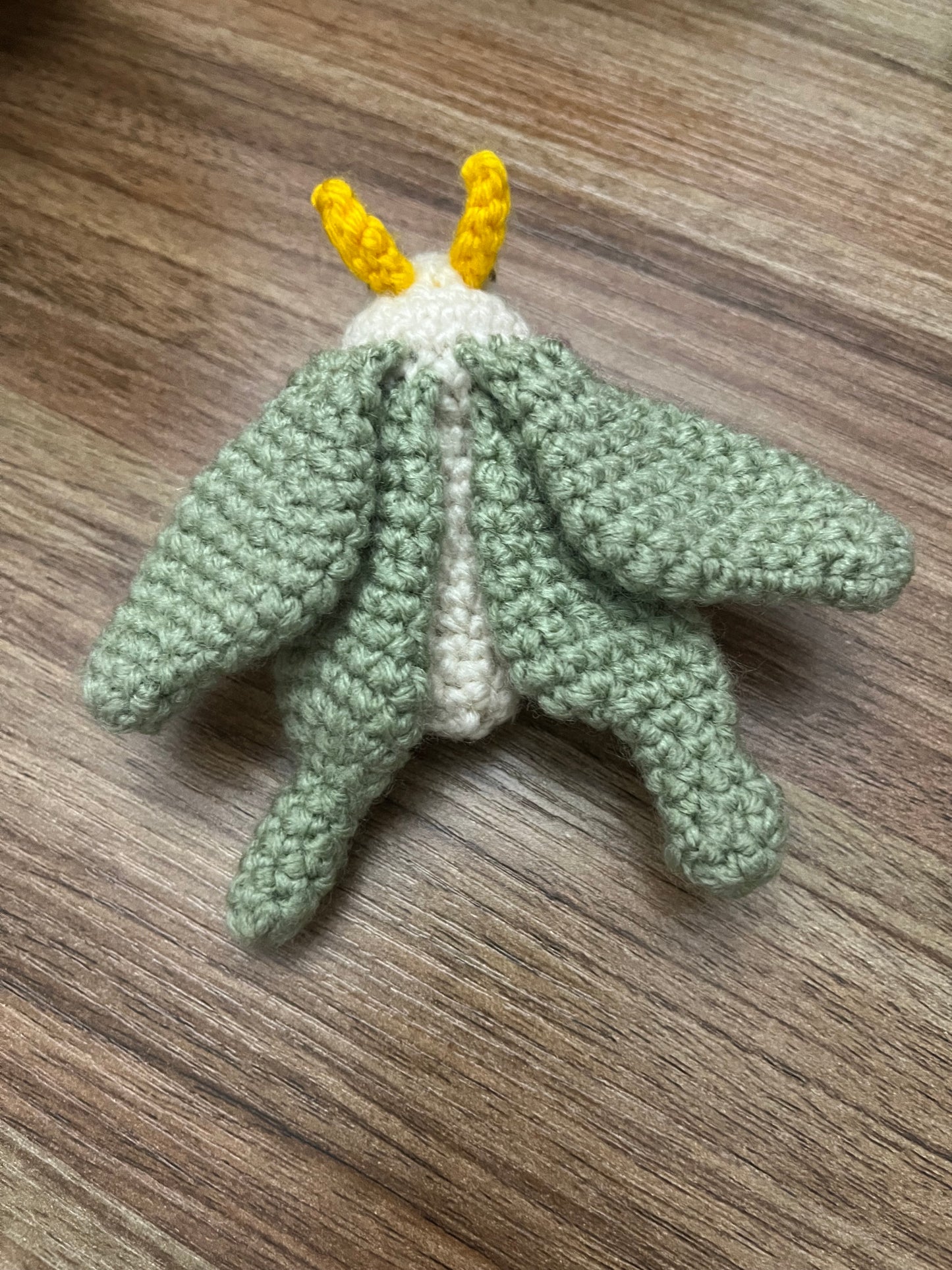 Luna Moth
