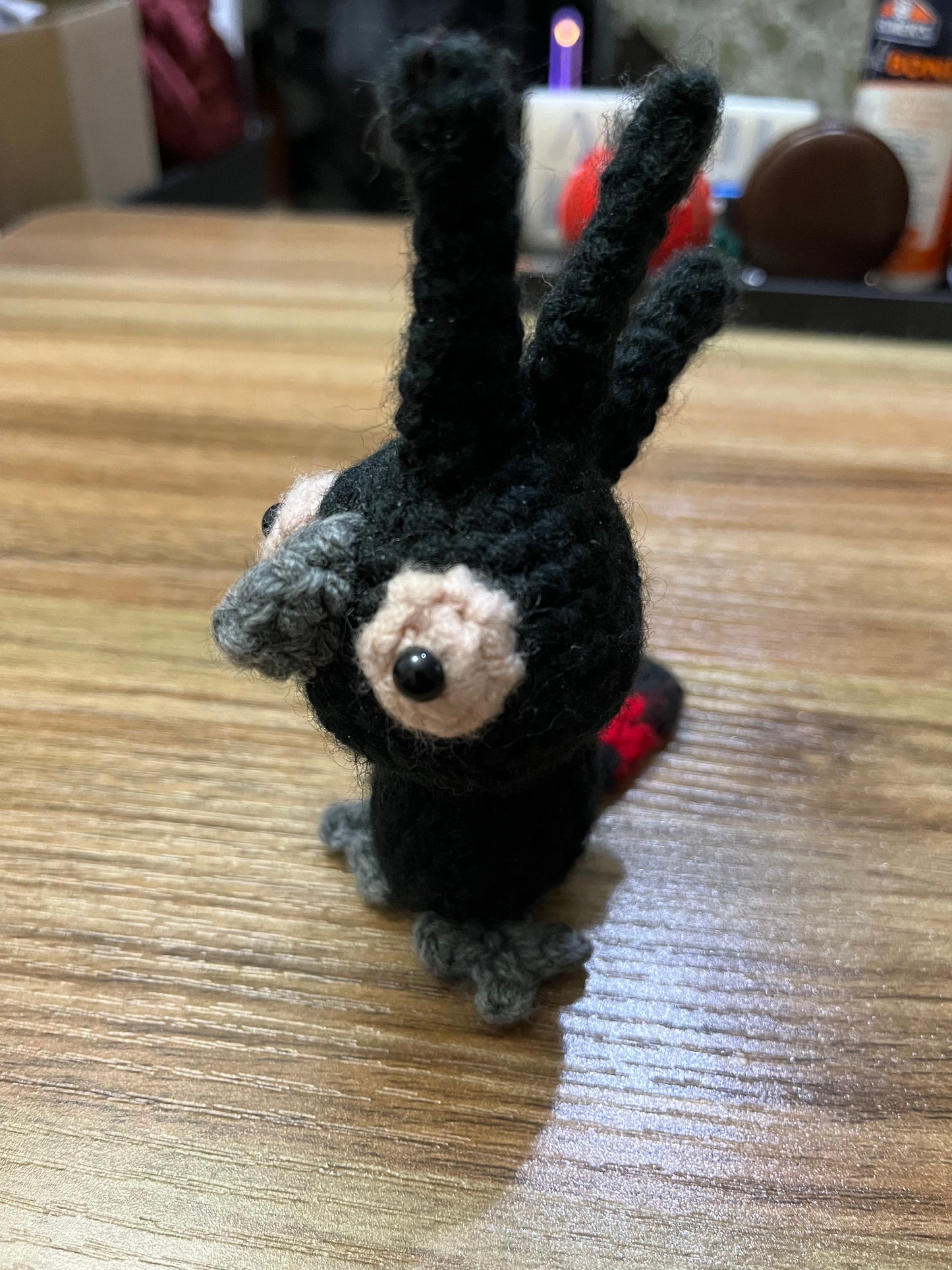 Black Cockatoo