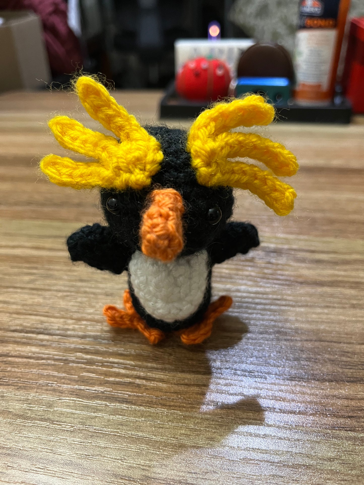 Macaroni Penguin