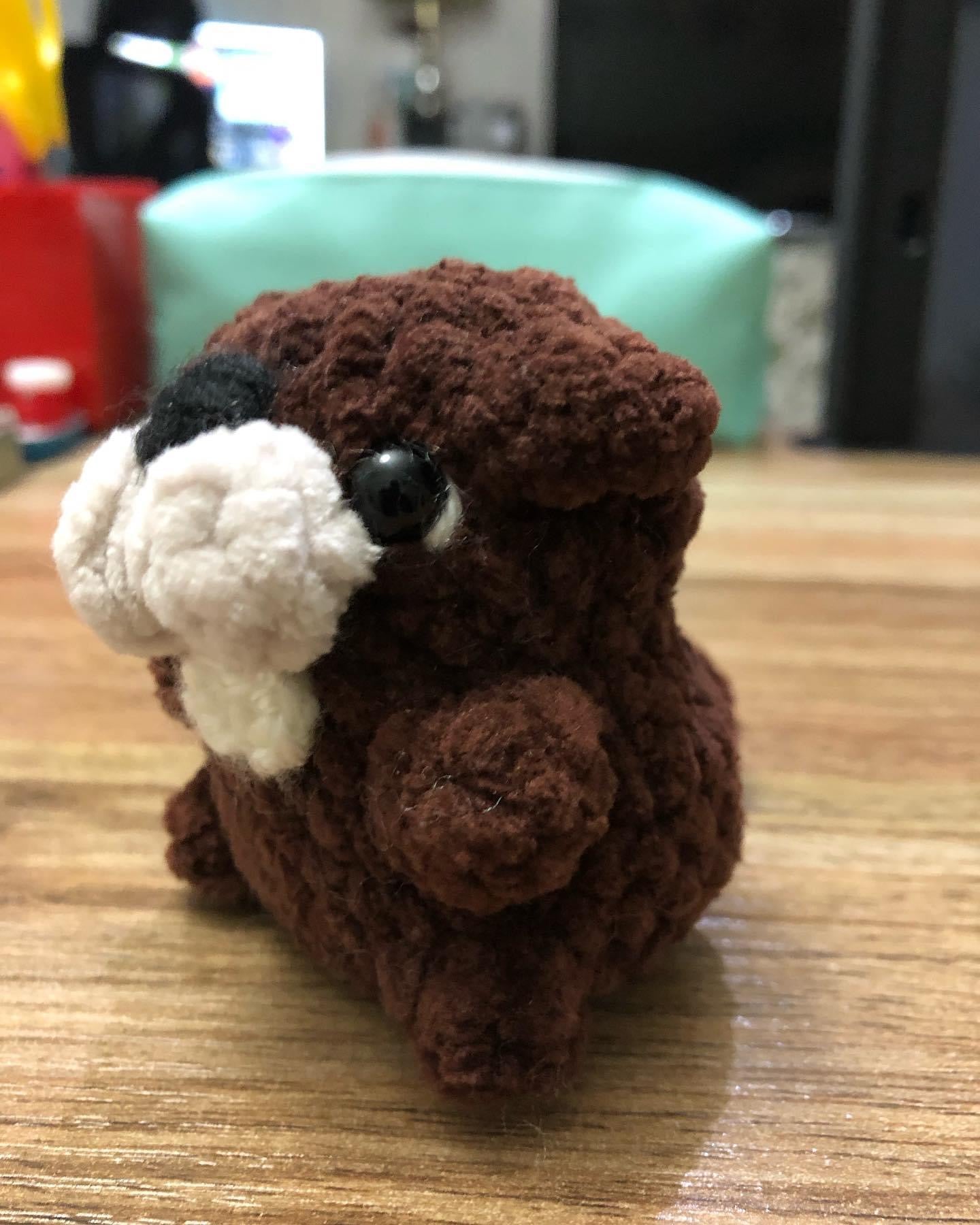 Mini Beaver