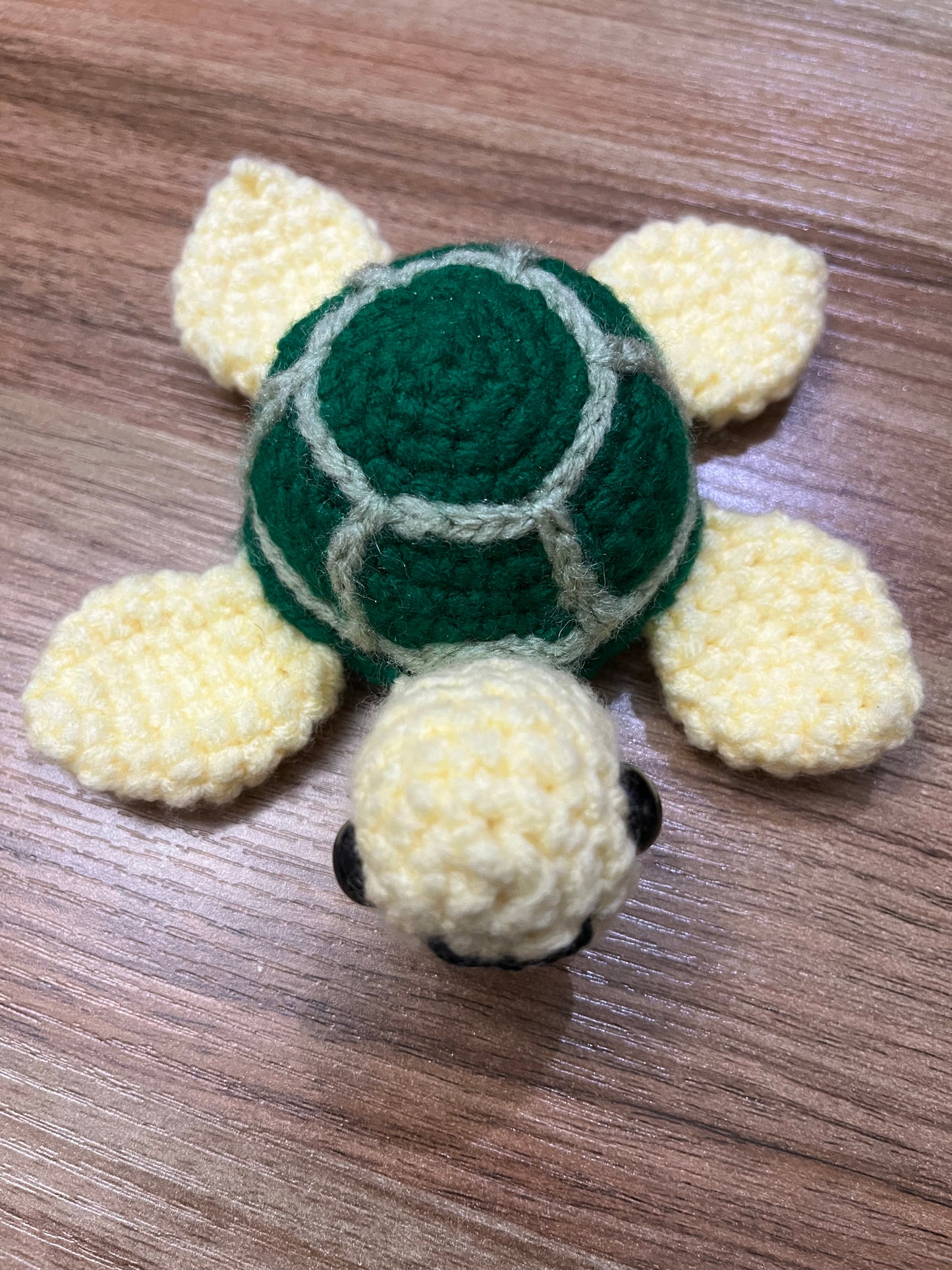 Sea Turtle