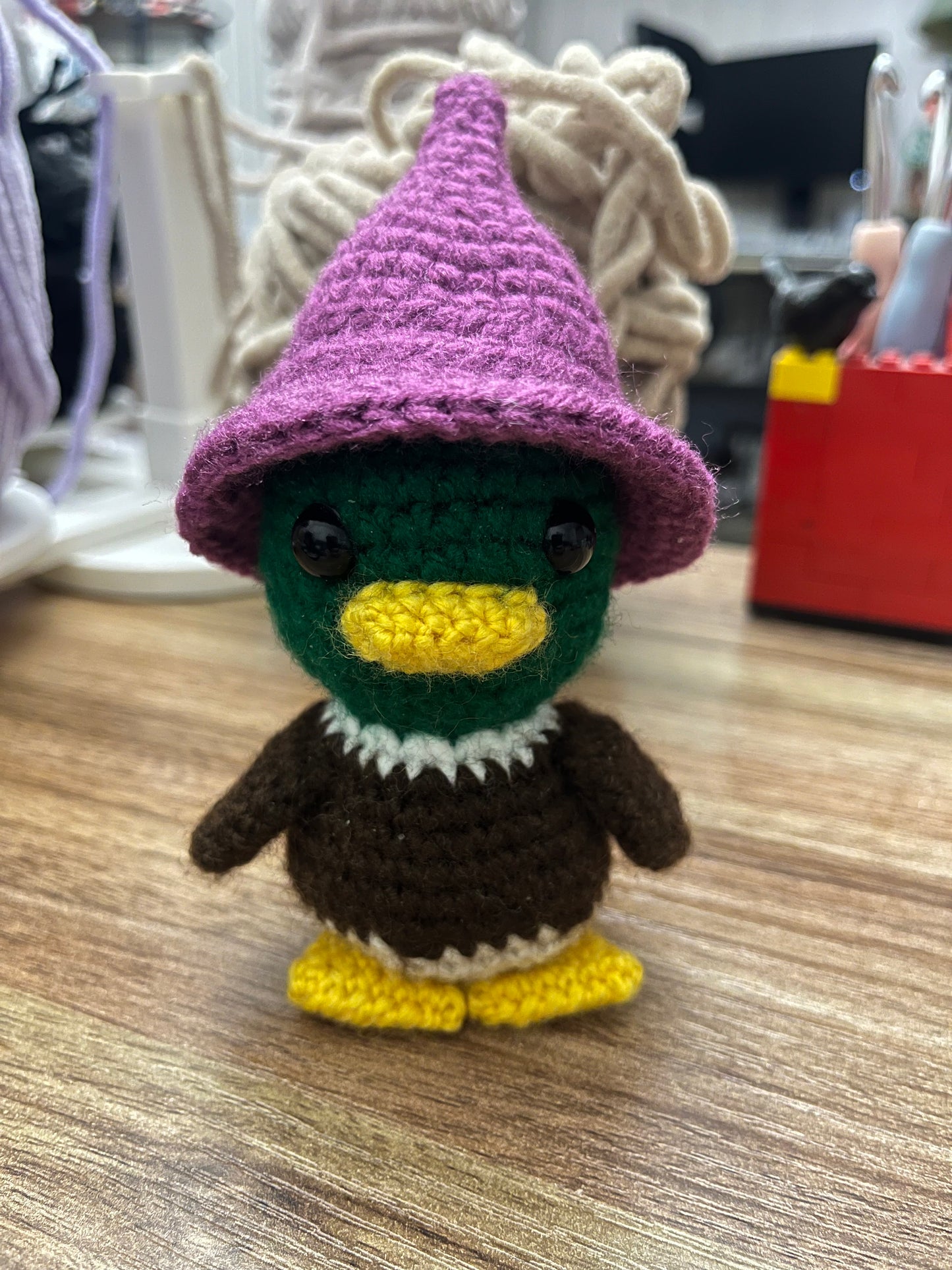 Wizard Duck