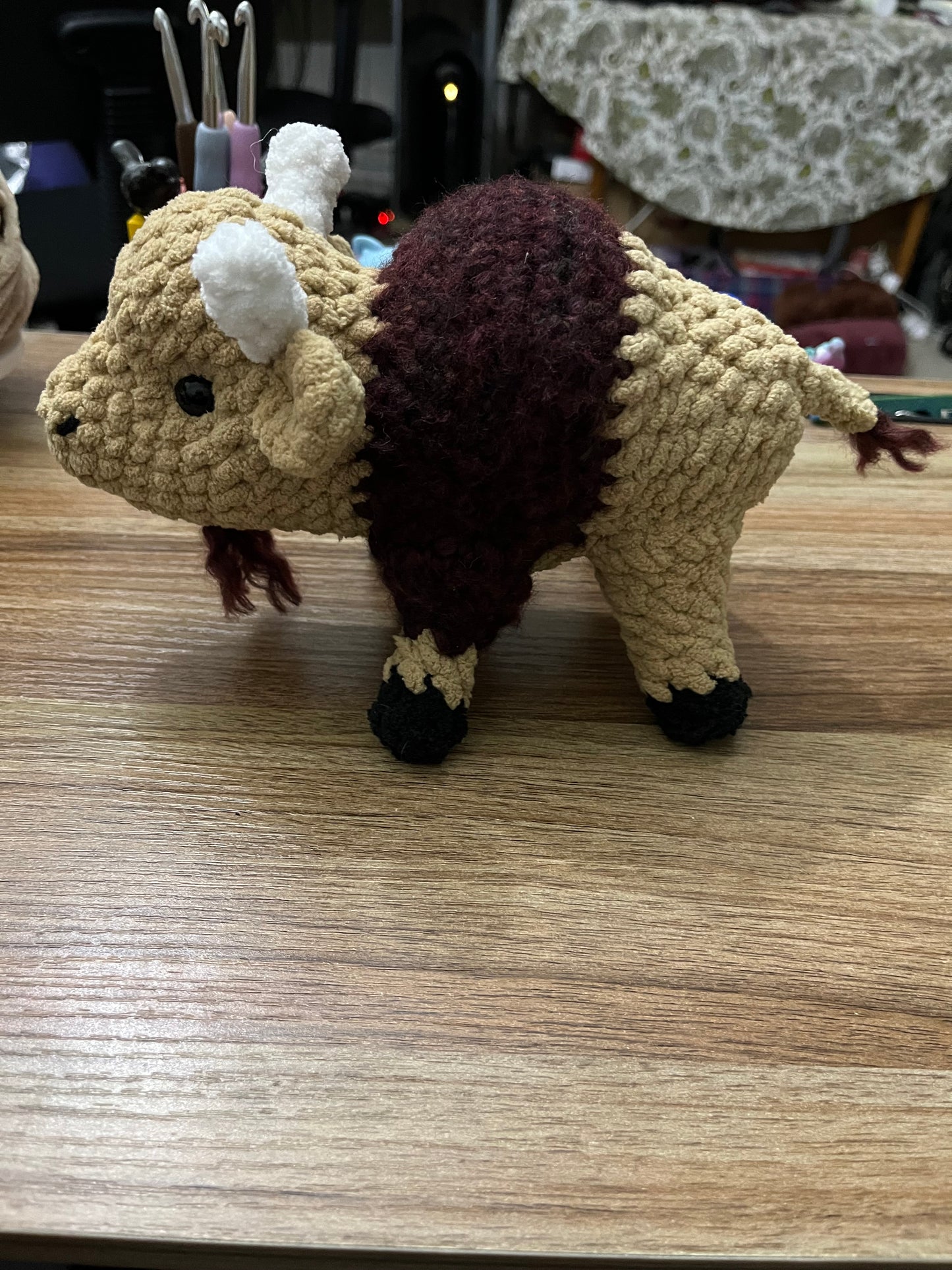 Bison Buffalo