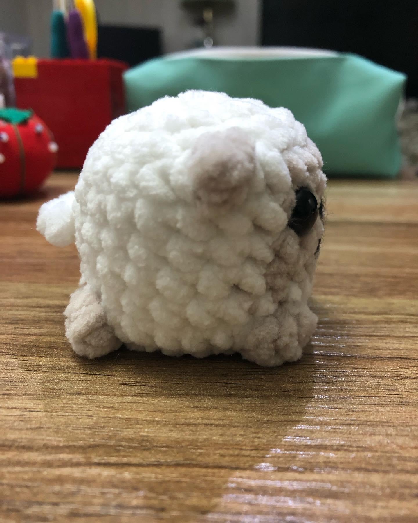 Mini Sheep