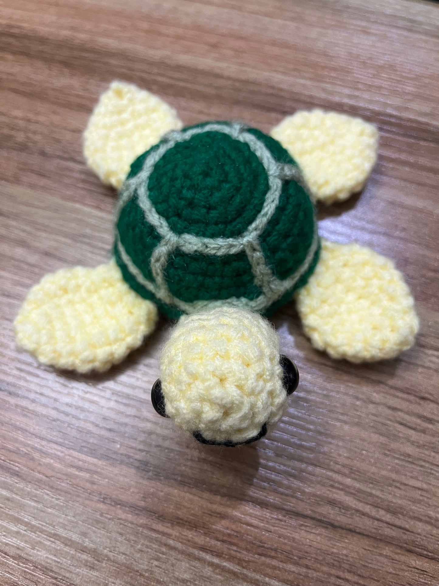 Sea Turtle