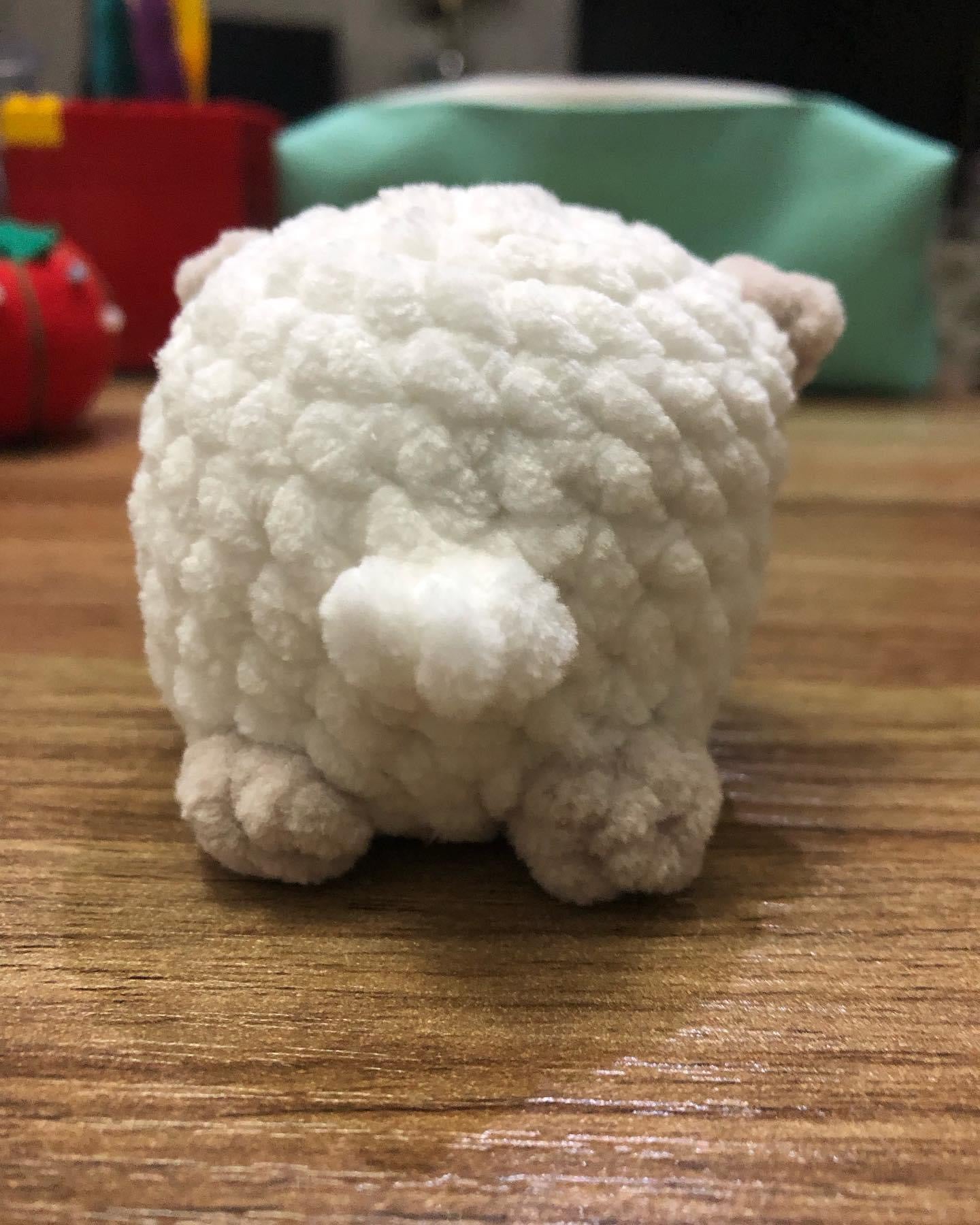 Mini Sheep