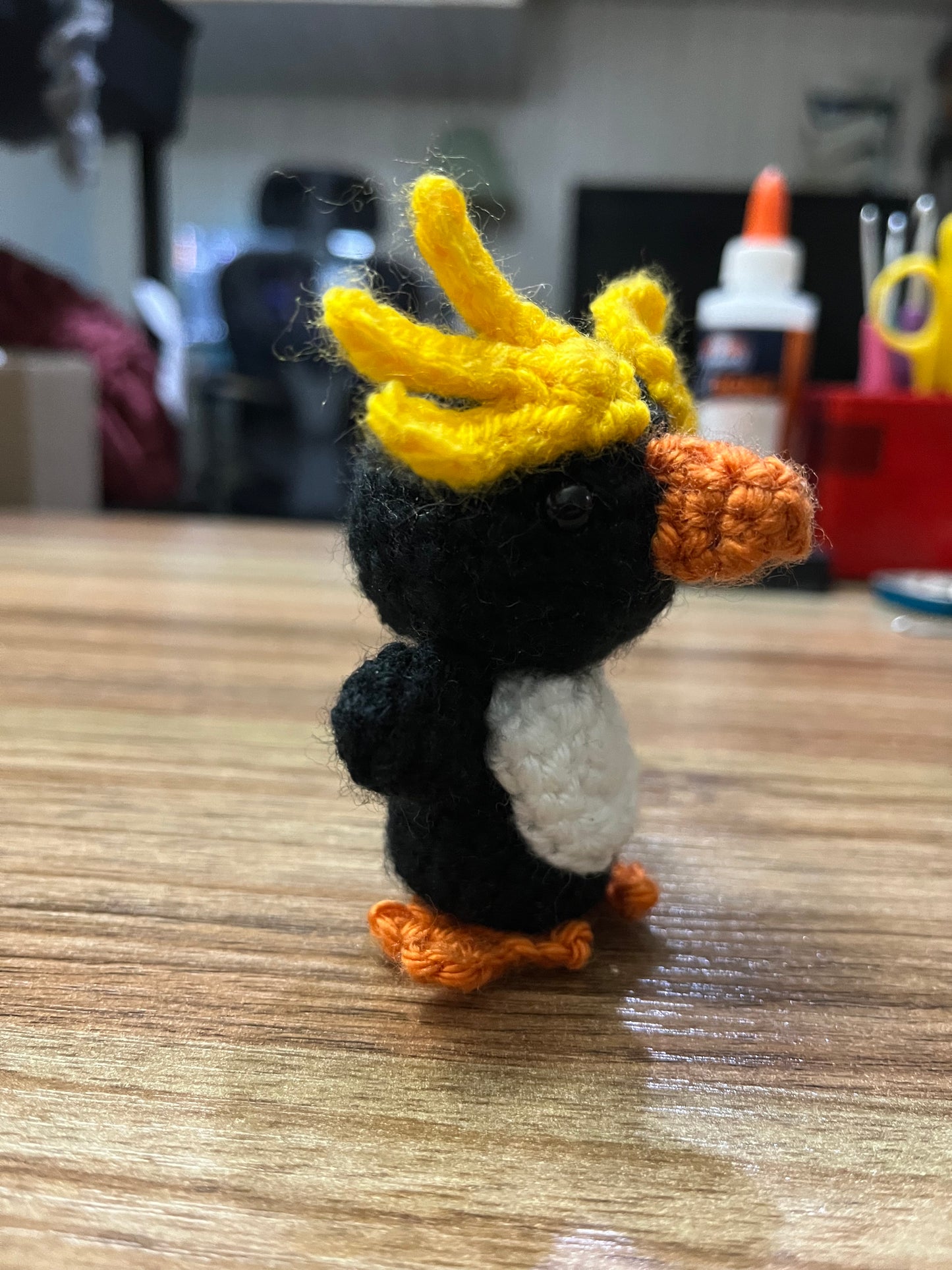 Macaroni Penguin