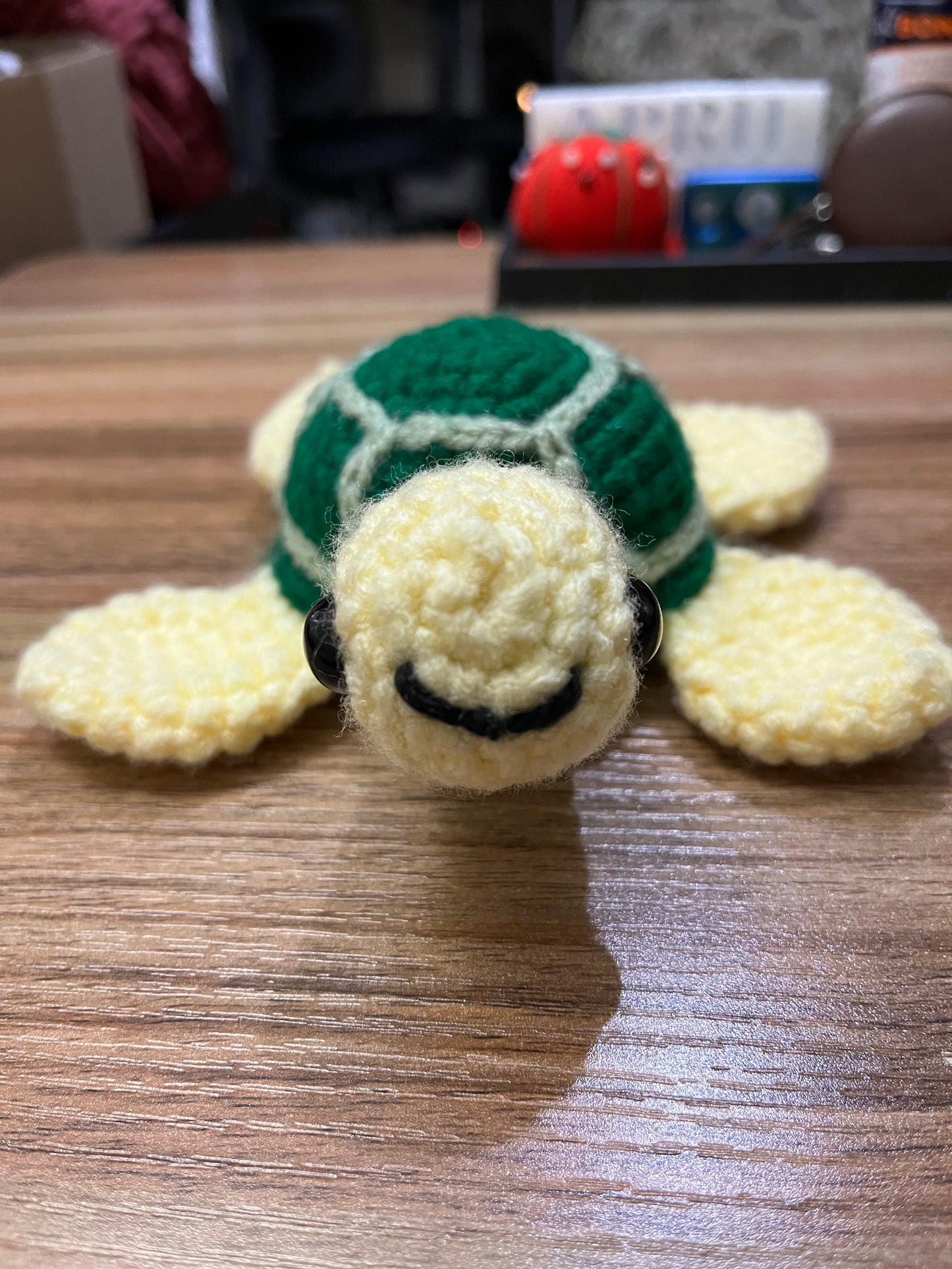 Sea Turtle