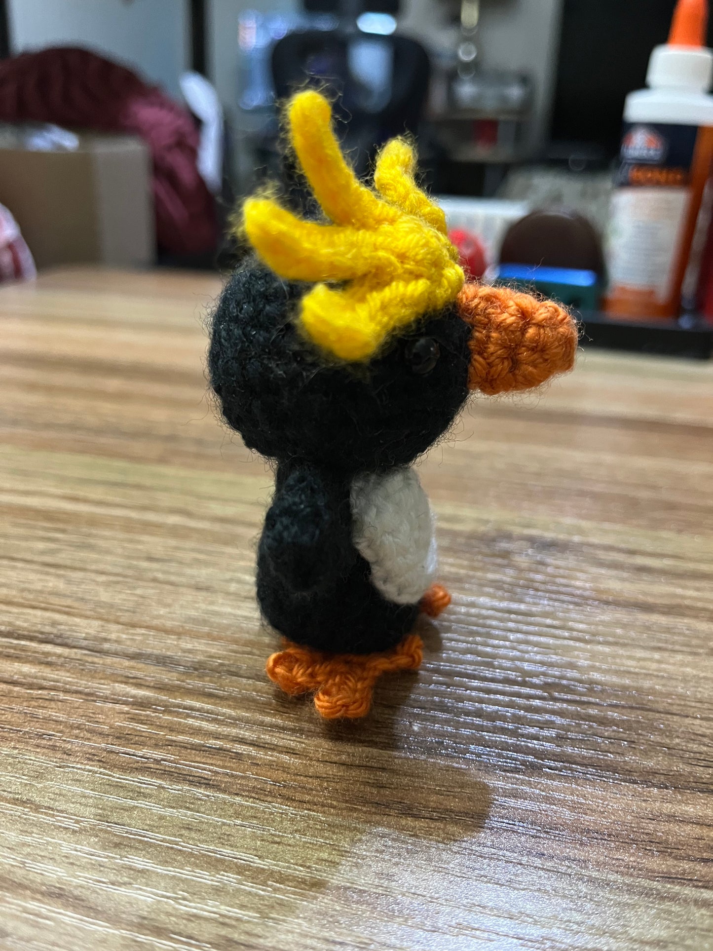 Macaroni Penguin