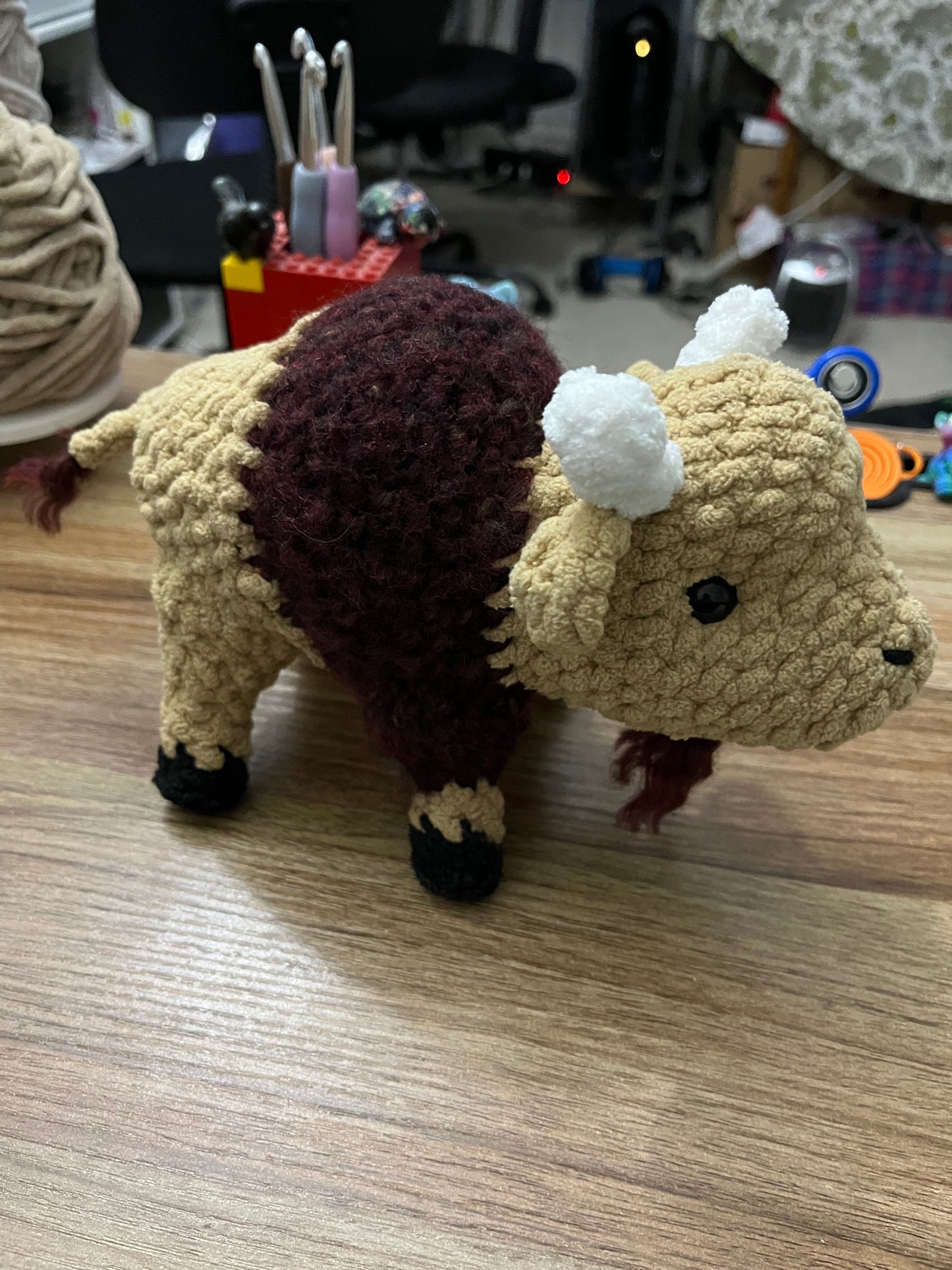 Bison Buffalo