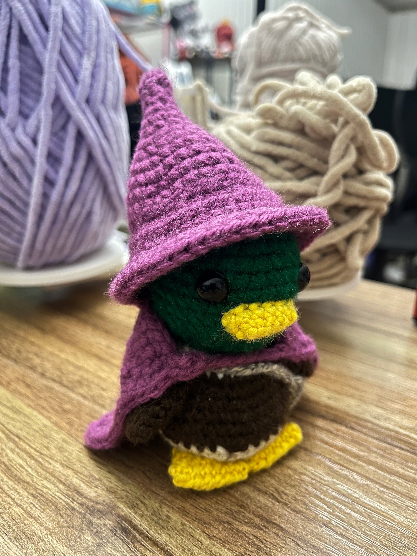 Wizard Duck