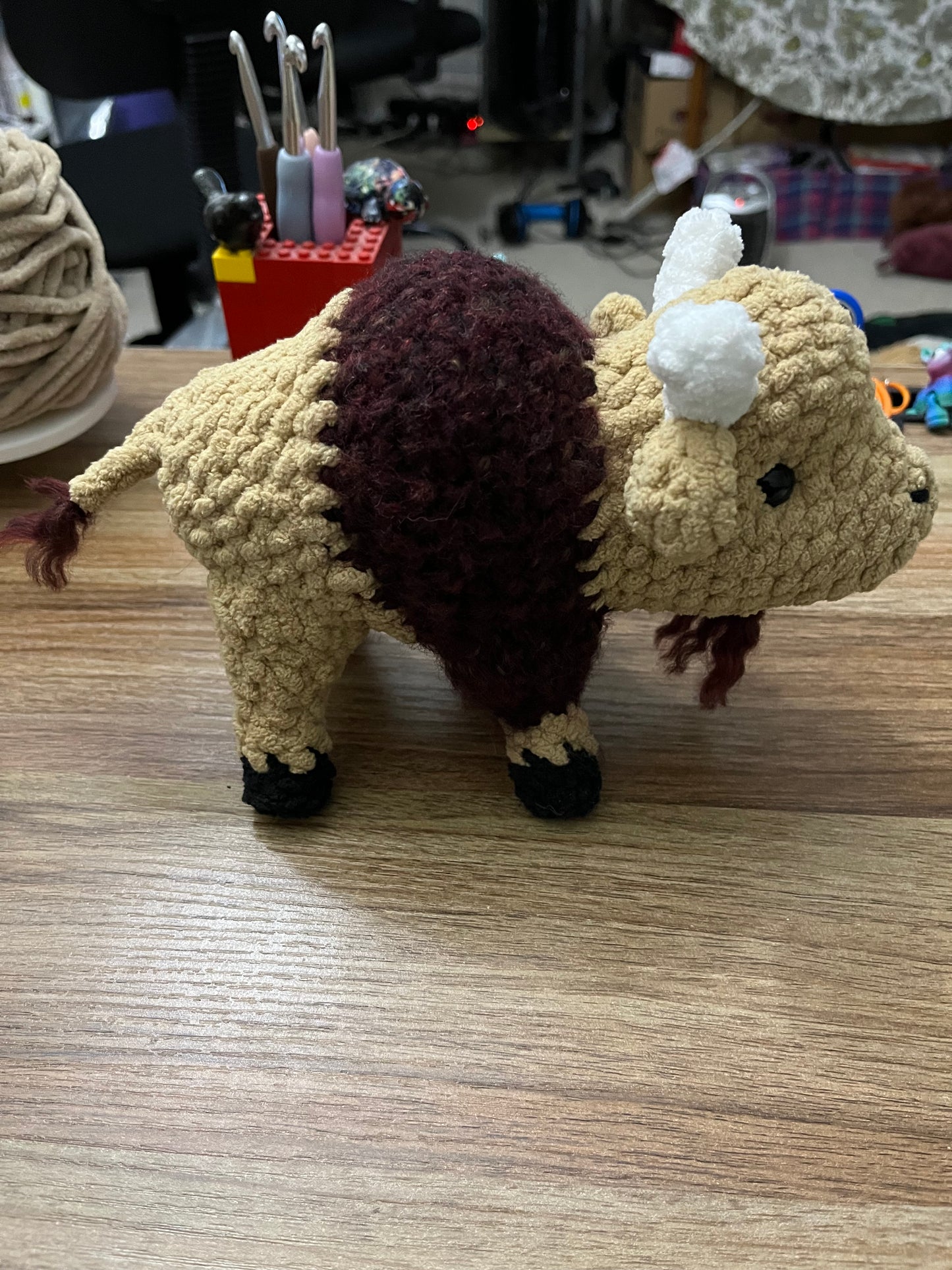 Bison Buffalo