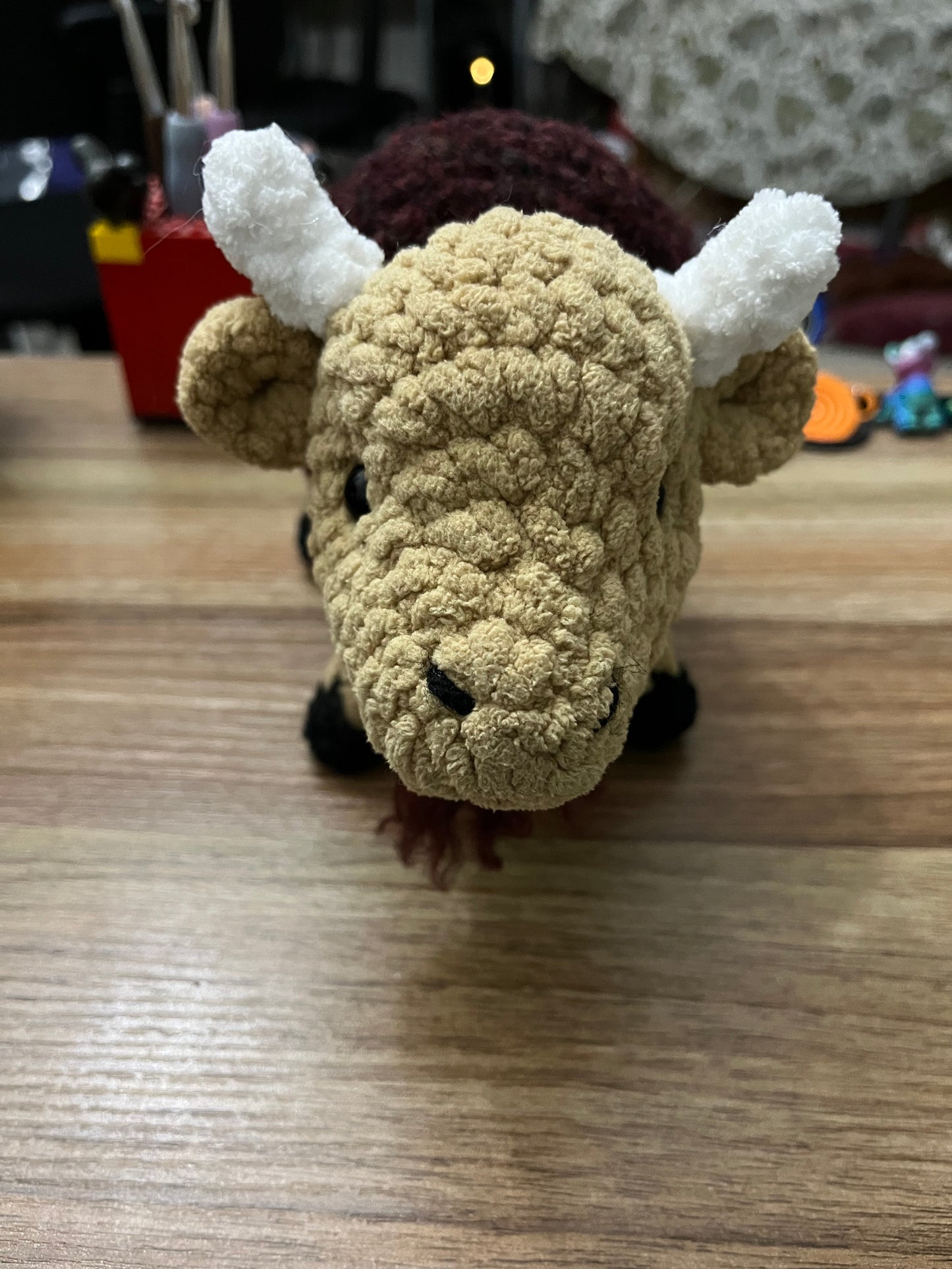 Bison Buffalo
