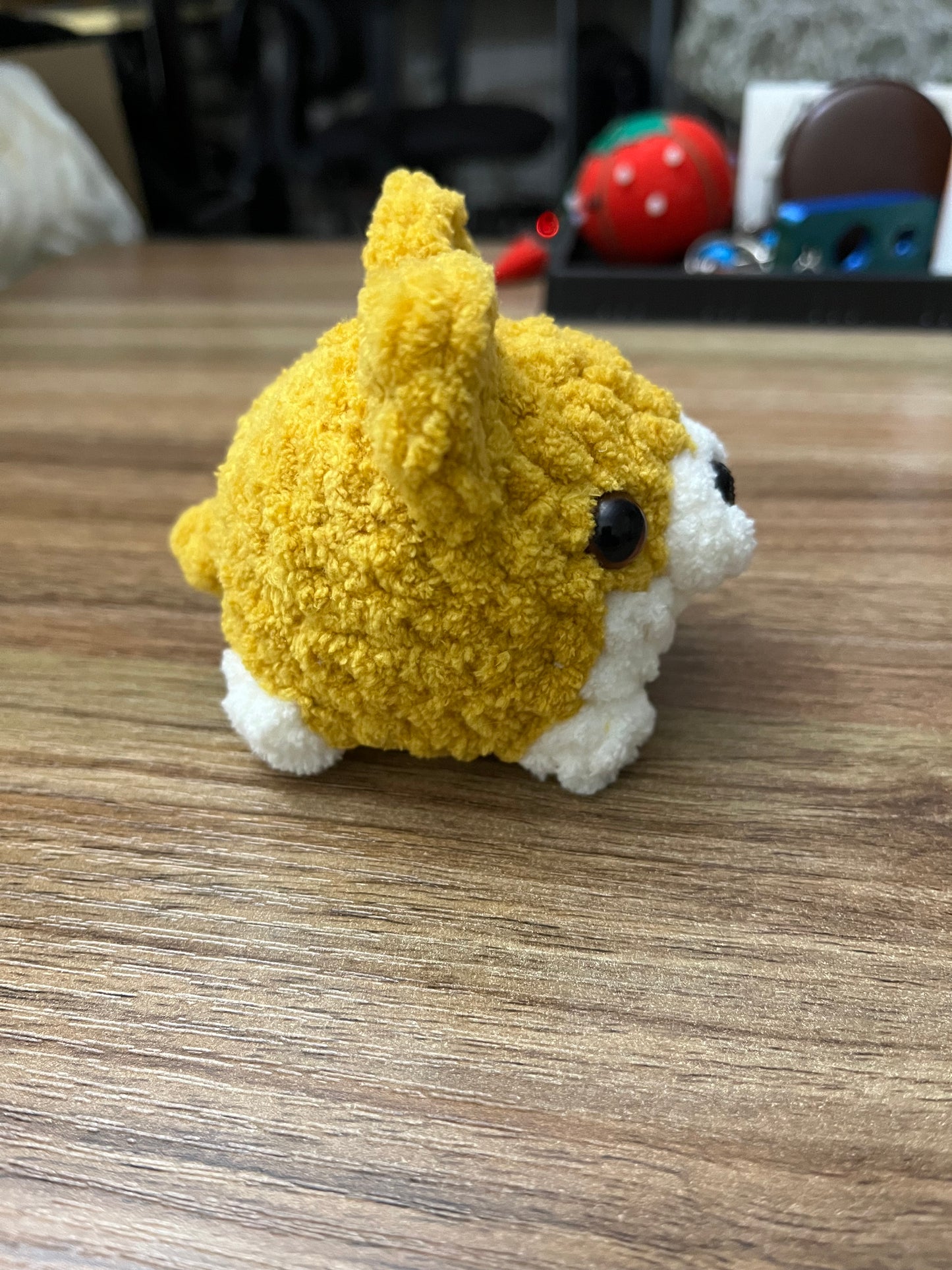 Small Corgi