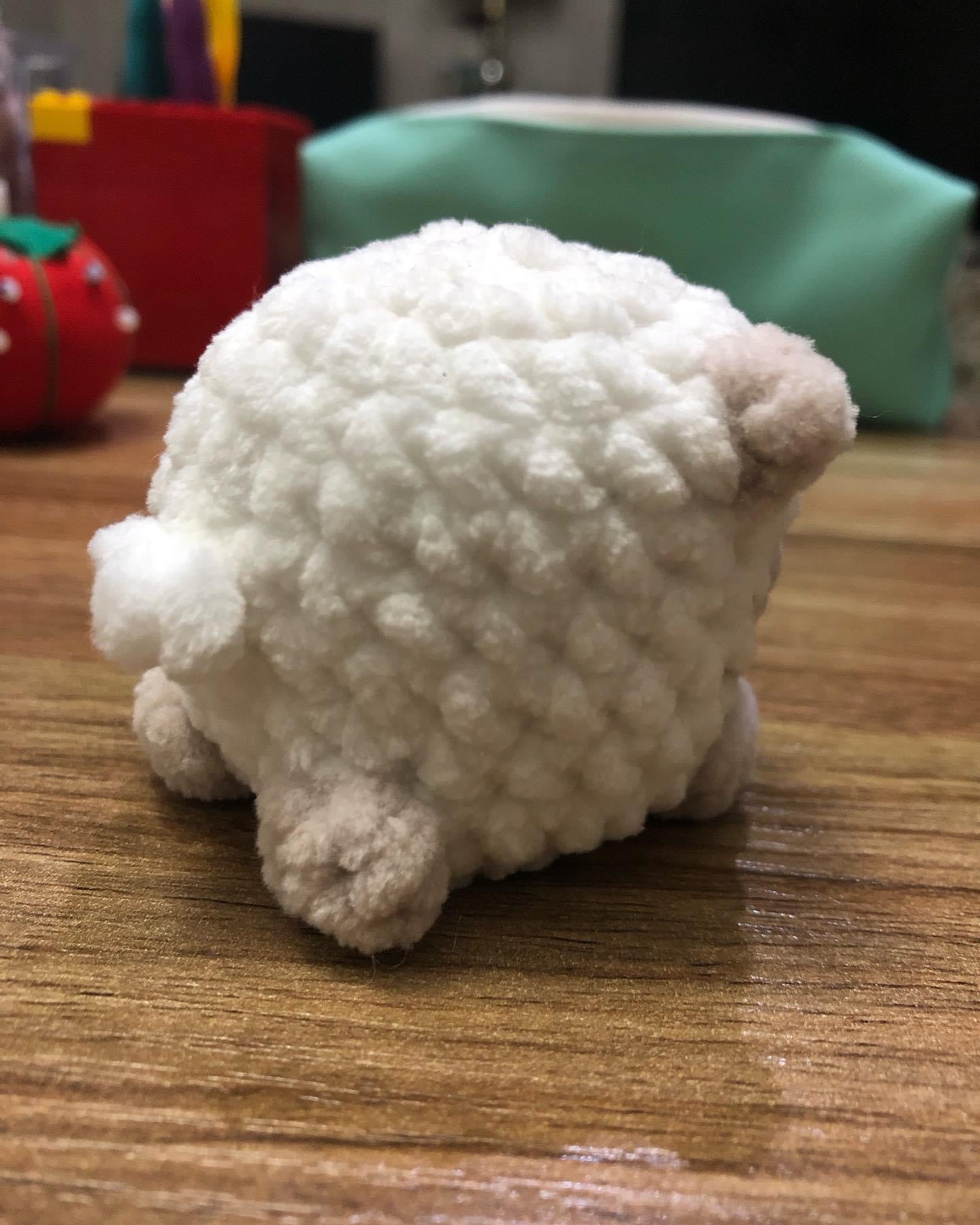 Mini Sheep