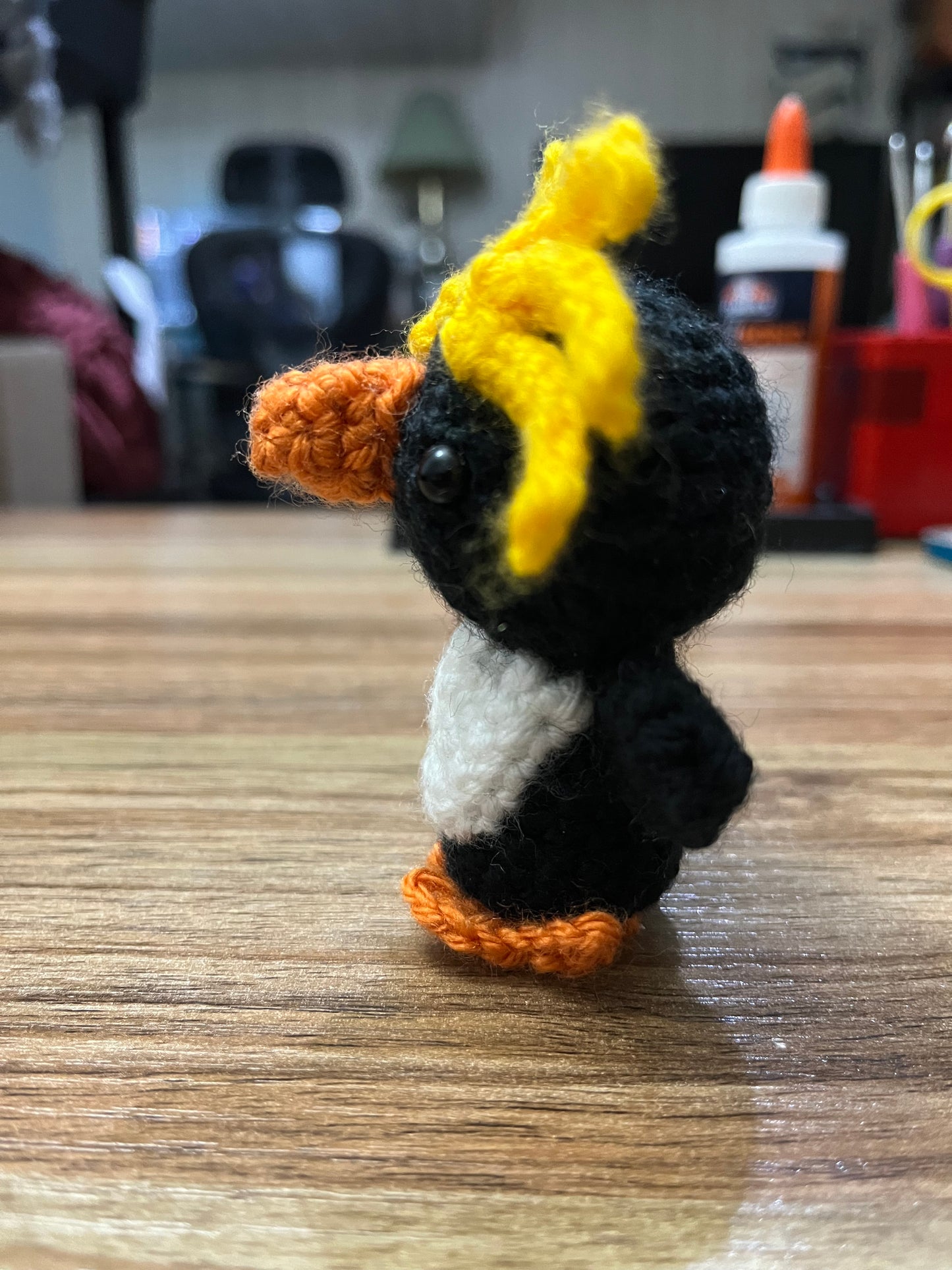 Macaroni Penguin