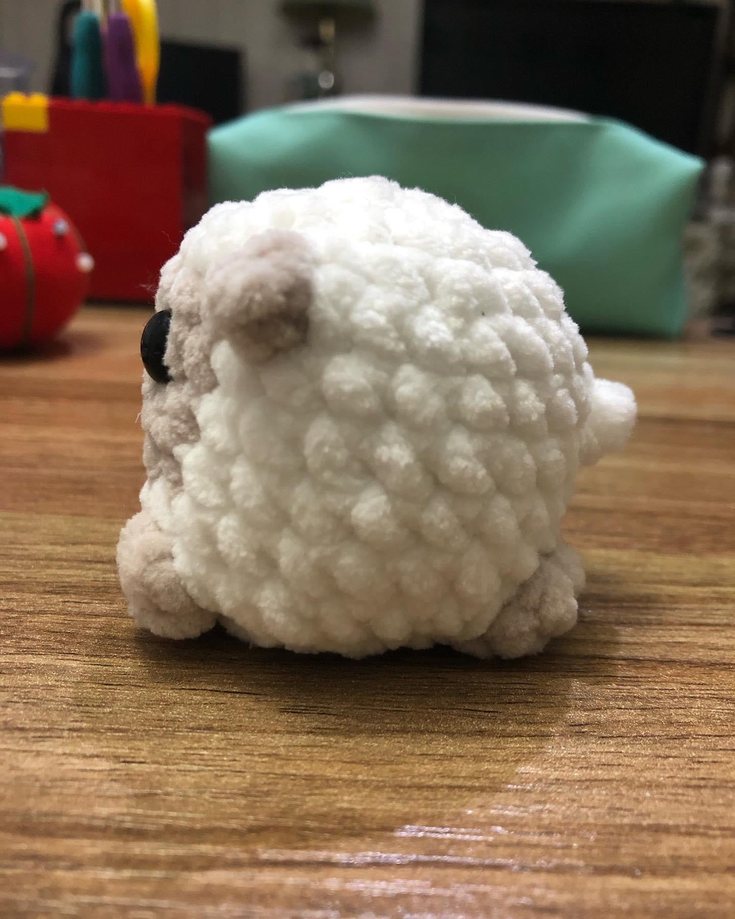 Mini Sheep