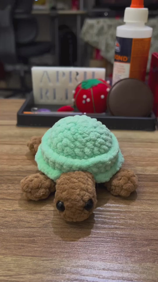 Turtle w/ Stress Ball Shell